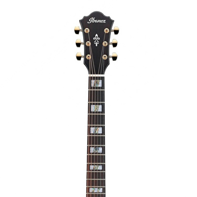 Ibanez AE390-NTA Elektro Akustik Gitar